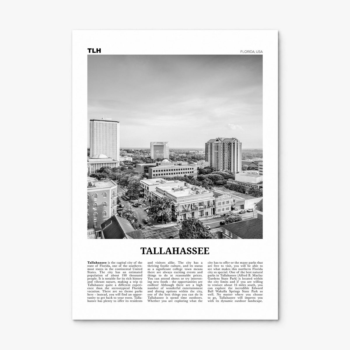 Tallahassee Newspaper Poster, print only (unframed)