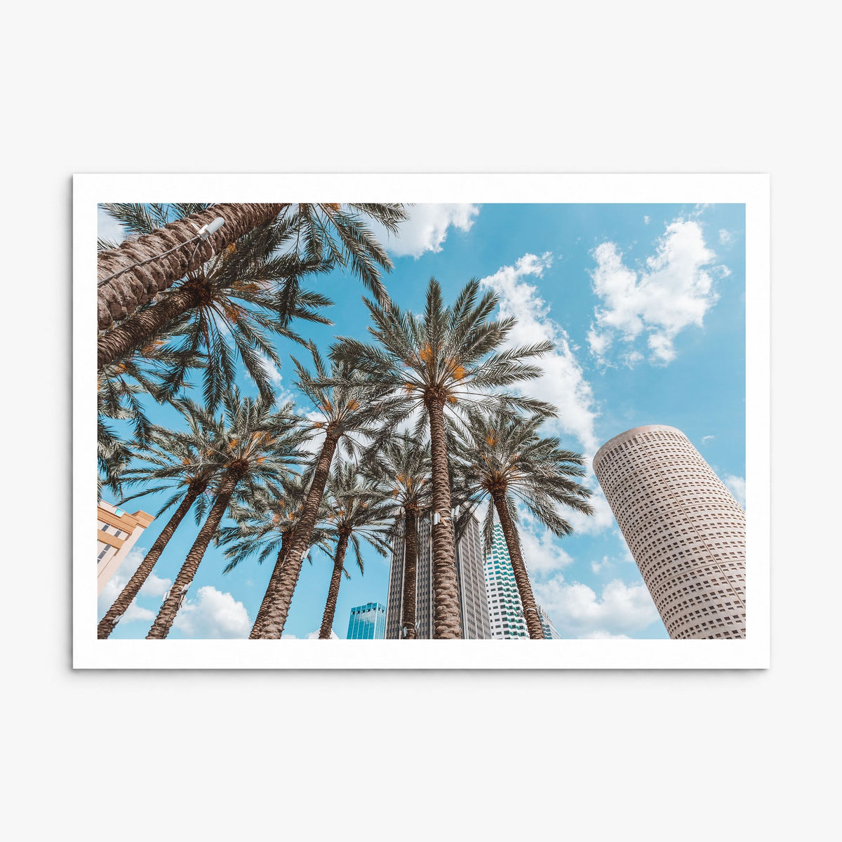 Tampa Photo Poster, print only (unframed), white border
