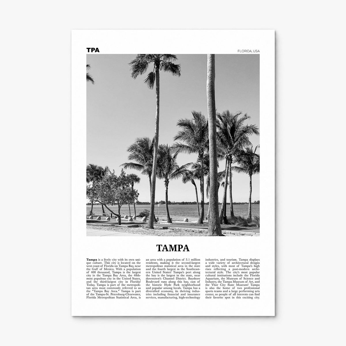 Tampa Newspaper No 3 Poster, print only (unframed)