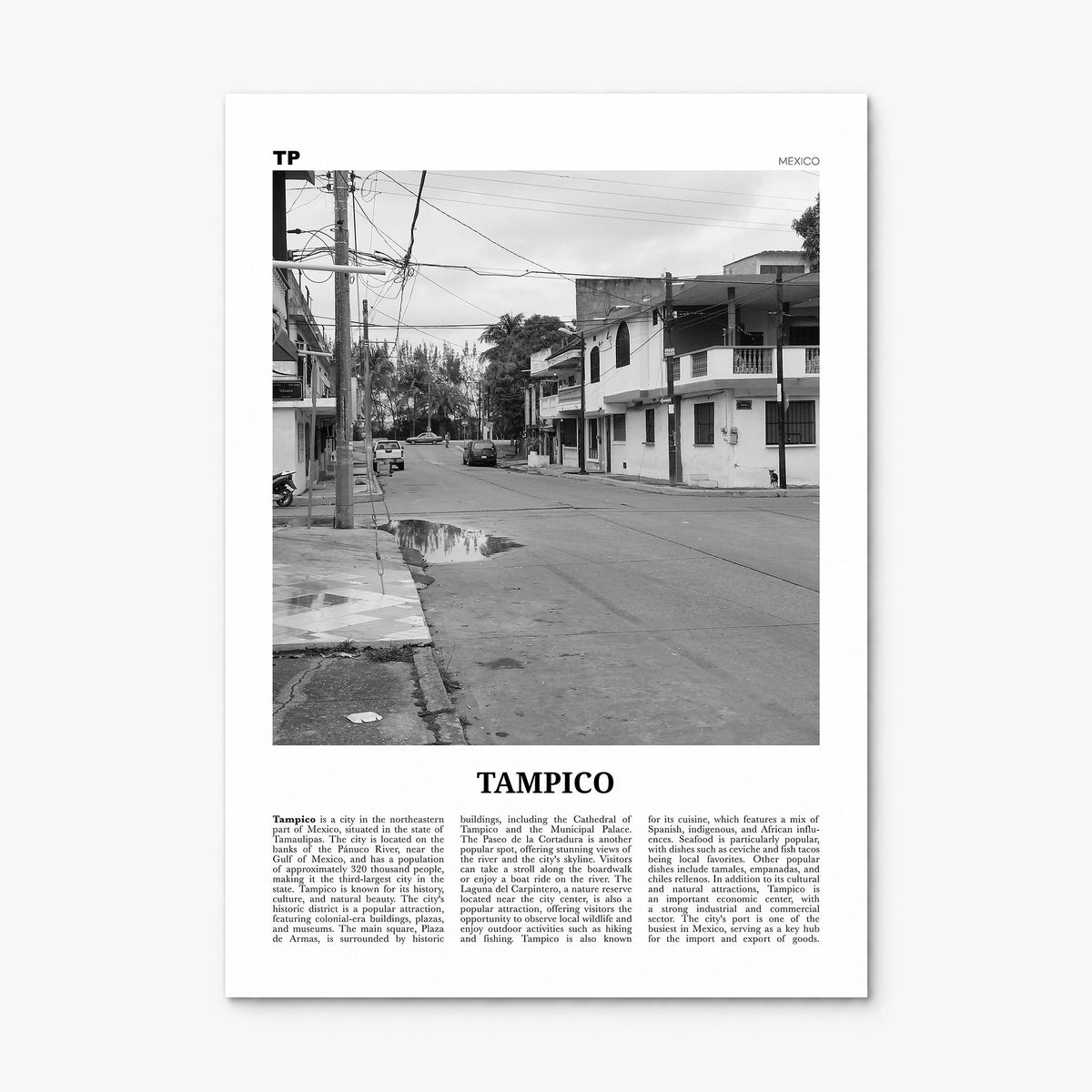 Tampico Newspaper Poster, print only (unframed)