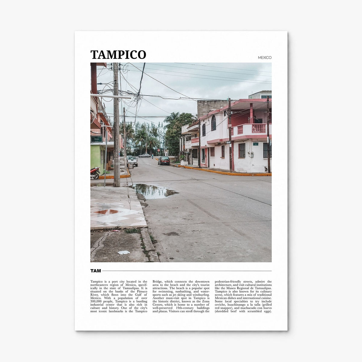 Tampico Travel Poster, print only (unframed)