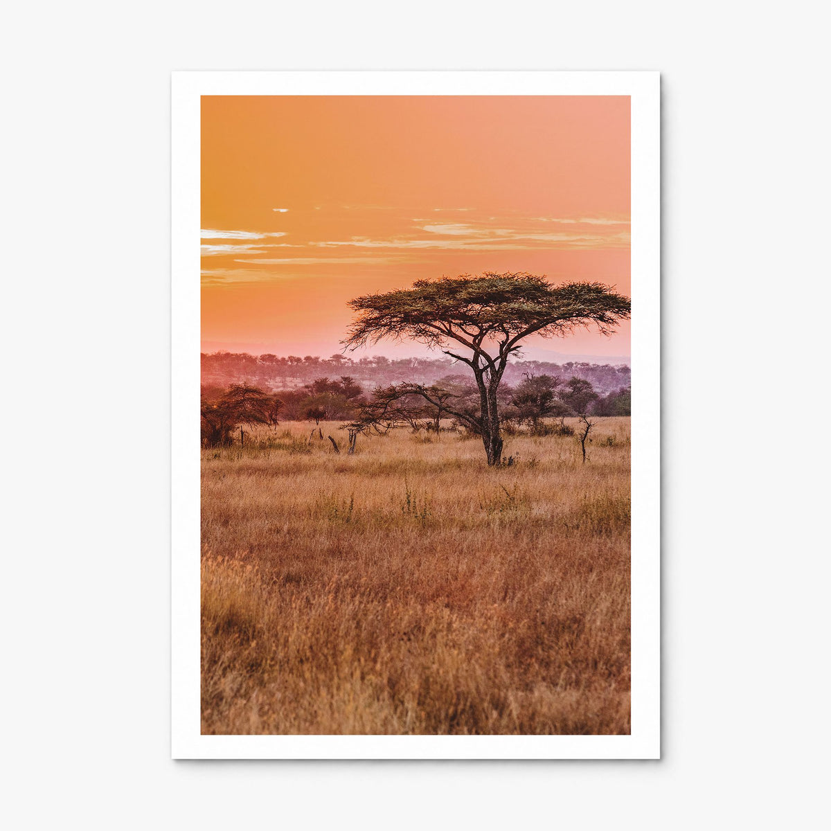 Tanzania Photo Poster, print only (unframed), white border