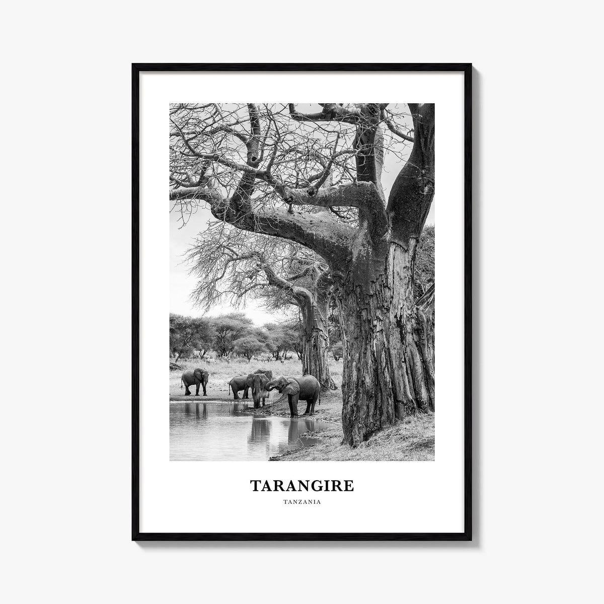 Tarangire National Park black & white classic poster of Tanzania – vertical wall art, unframed print shown in interior mockup