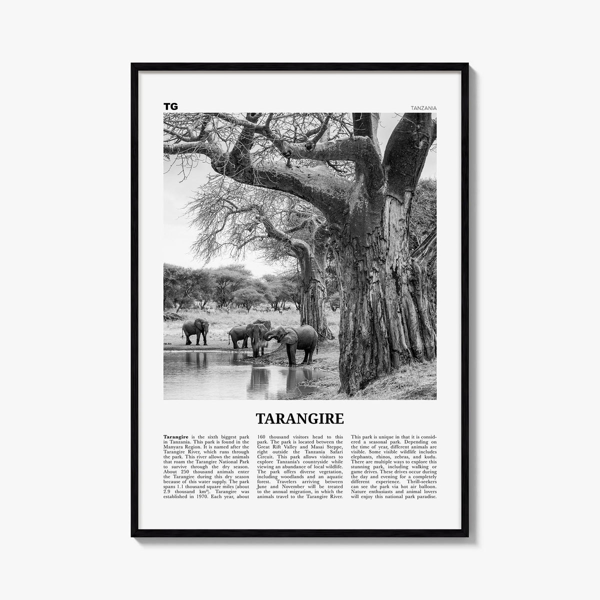 Tarangire National Park black & white newspaper poster of Tanzania – vertical wall art, unframed print shown in interior mock