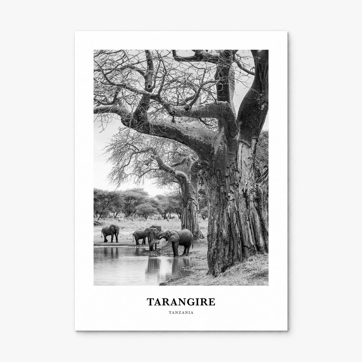 Tarangire National Park Classic Poster, print only (unframed)