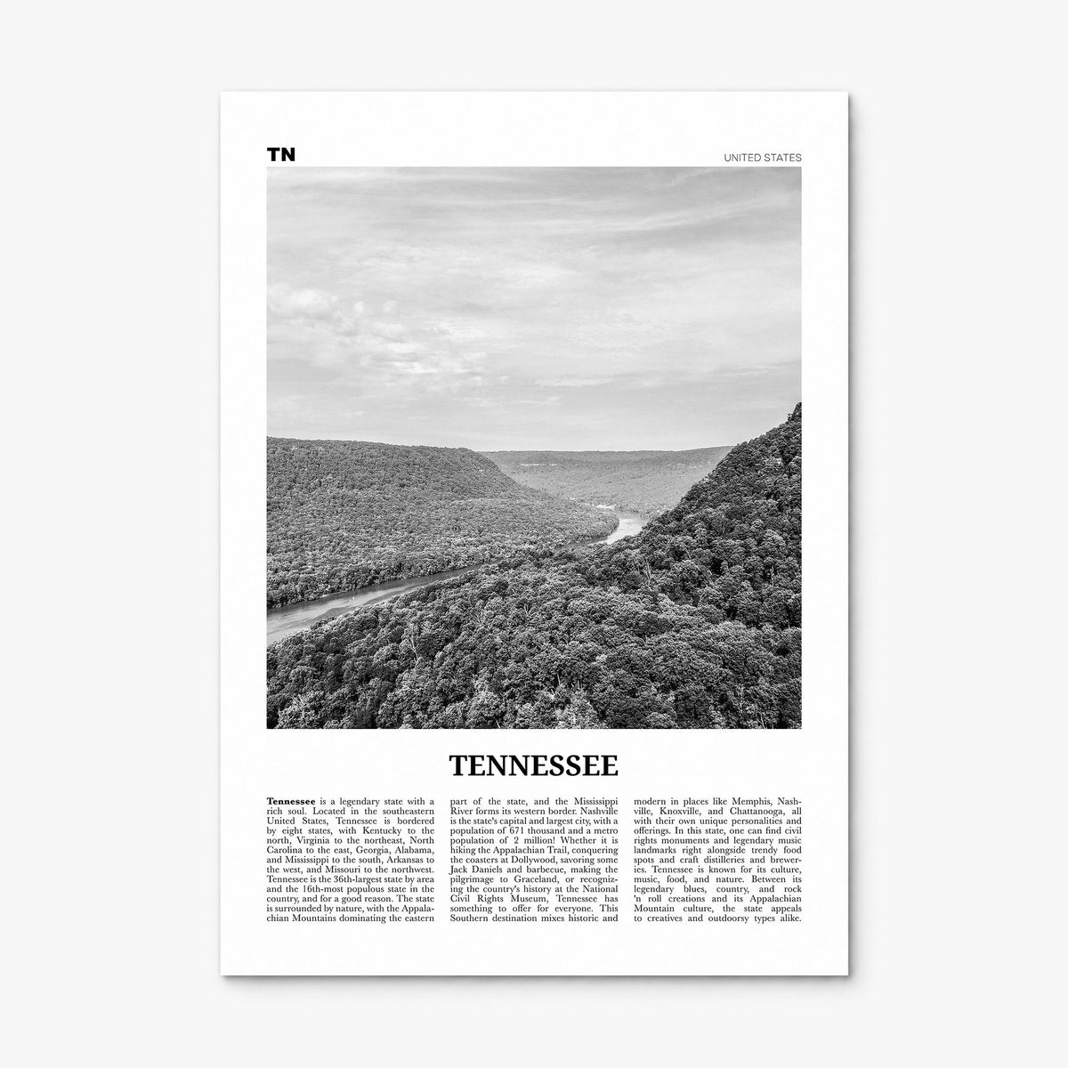 Tennessee Newspaper No 1 Poster, print only (unframed)