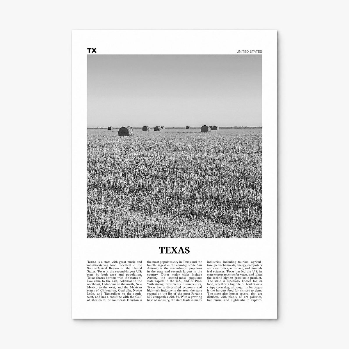 Texas Newspaper No 3 Poster, print only (unframed)