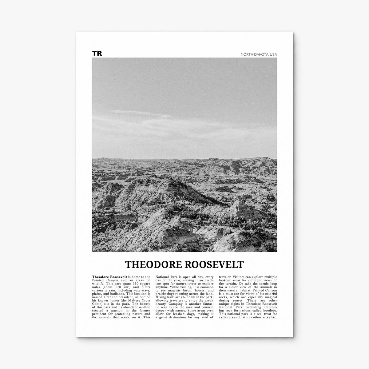 Theodore Roosevelt National Park Newspaper Poster, print only (unframed)