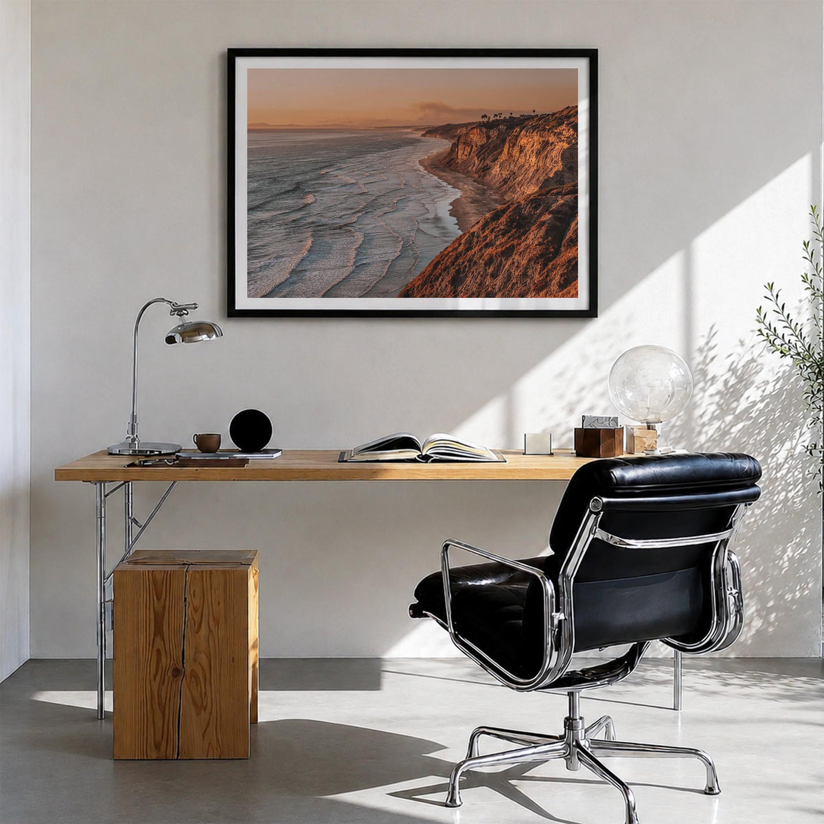 Torrey Pines Photo Poster