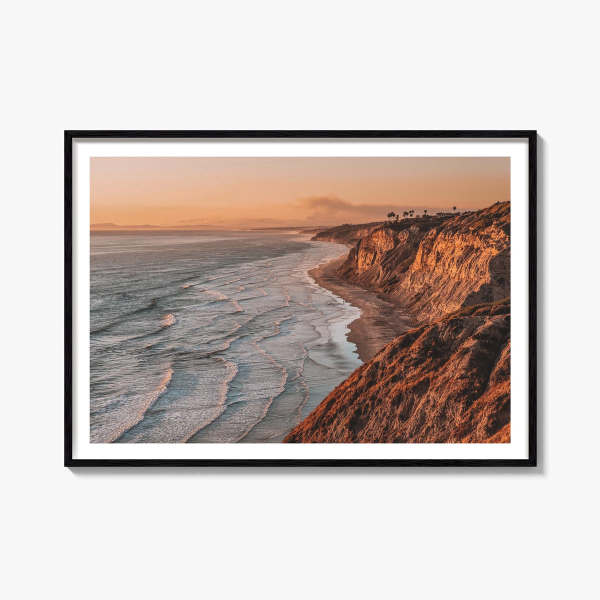 Torrey Pines Photo Poster