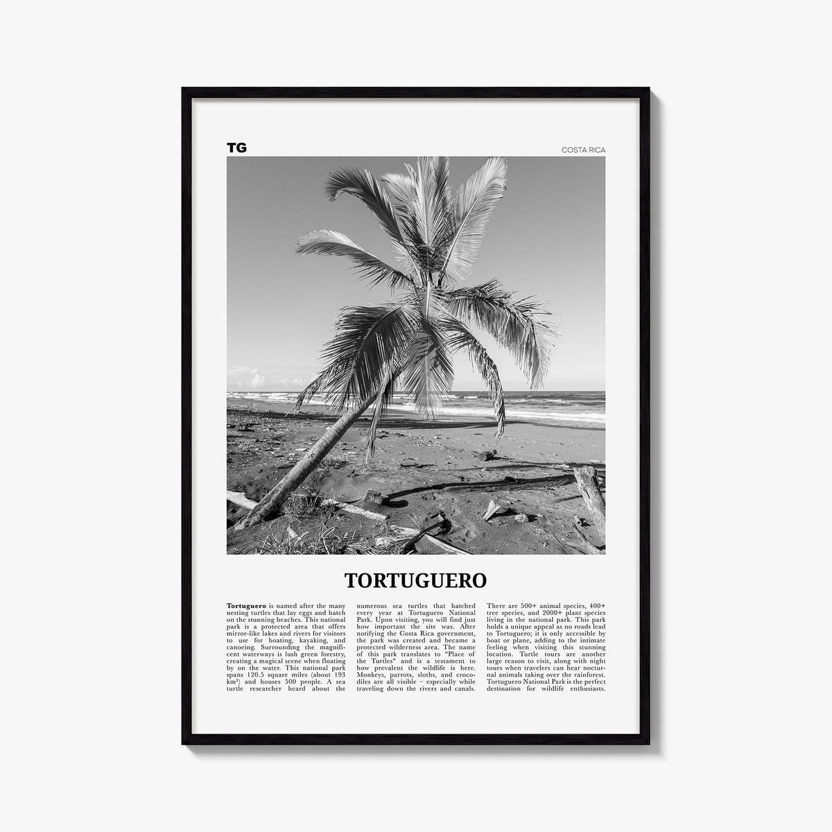 Tortuguero black & white newspaper poster of Costa Rica – vertical wall art, unframed print shown in interior mockup