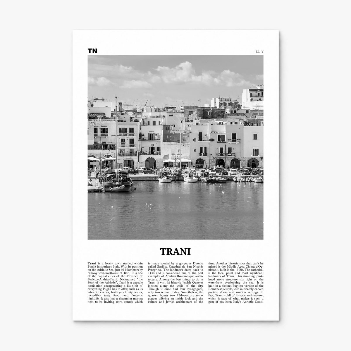 Trani Newspaper Poster, print only (unframed)