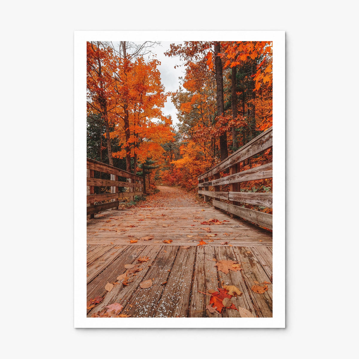 Traverse City Photo No 2 Poster, print only (unframed), white border