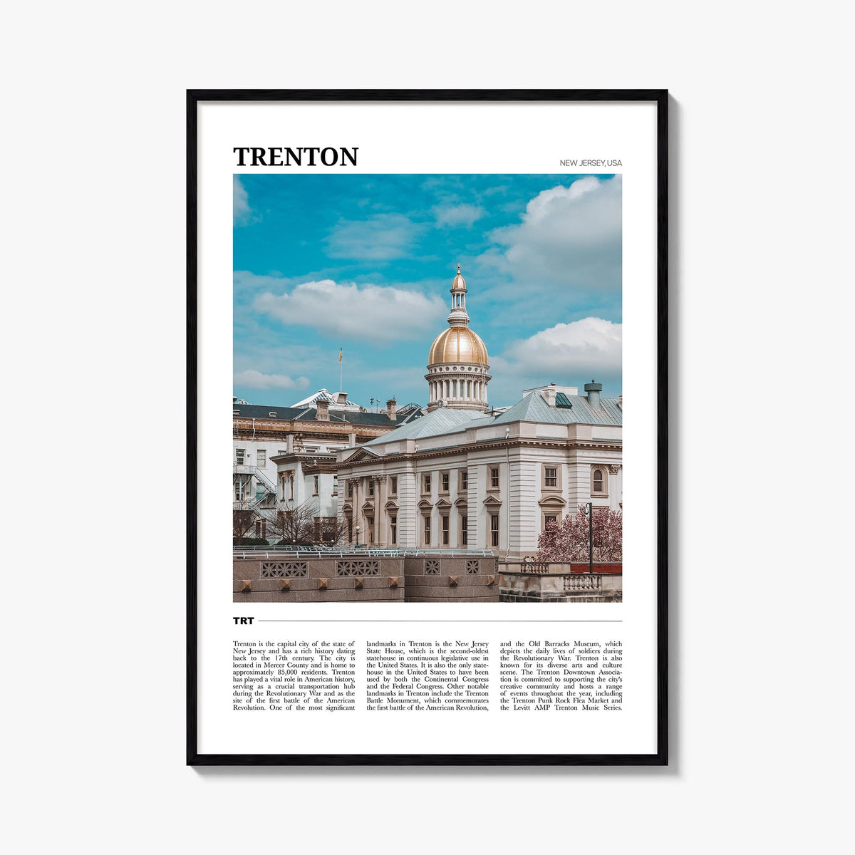 Trenton Travel Poster