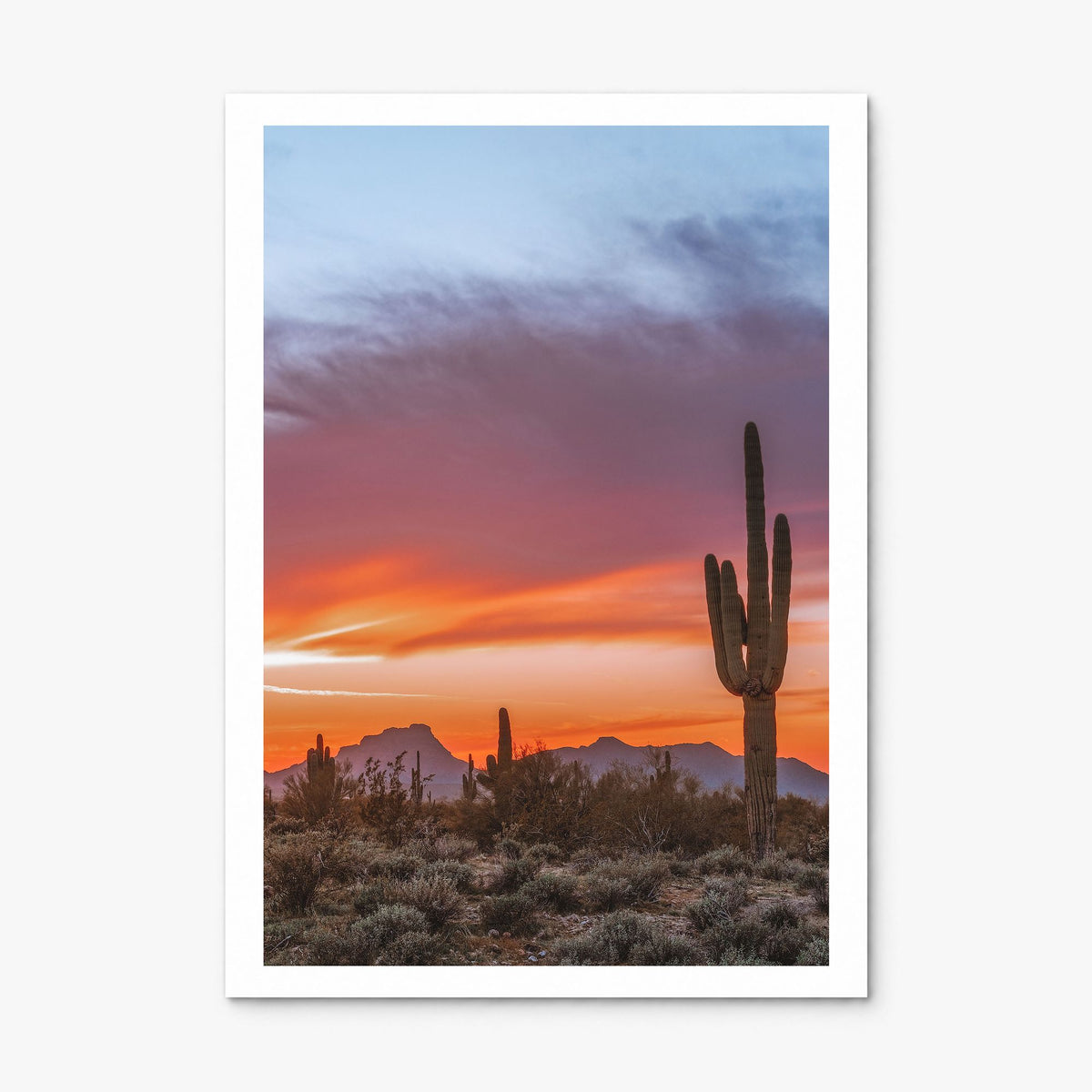 Tucson Photo No 2 Poster, print only (unframed), white border