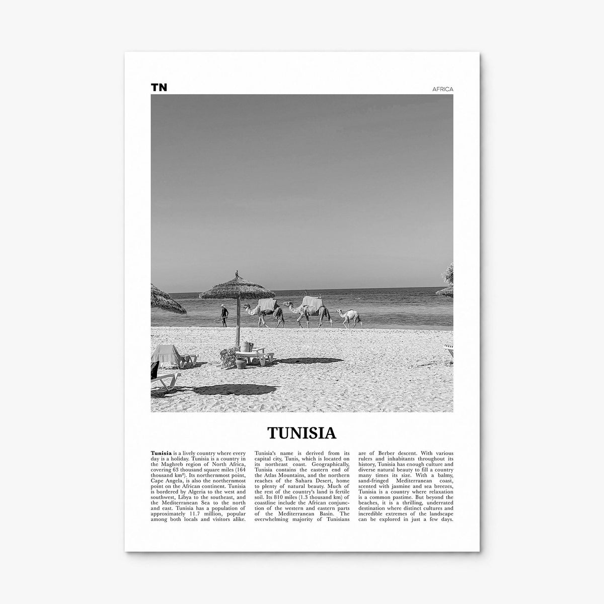 Tunisia Newspaper Poster, print only (unframed)