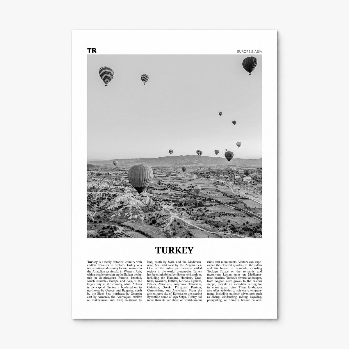 Turkey Newspaper Poster, print only (unframed)