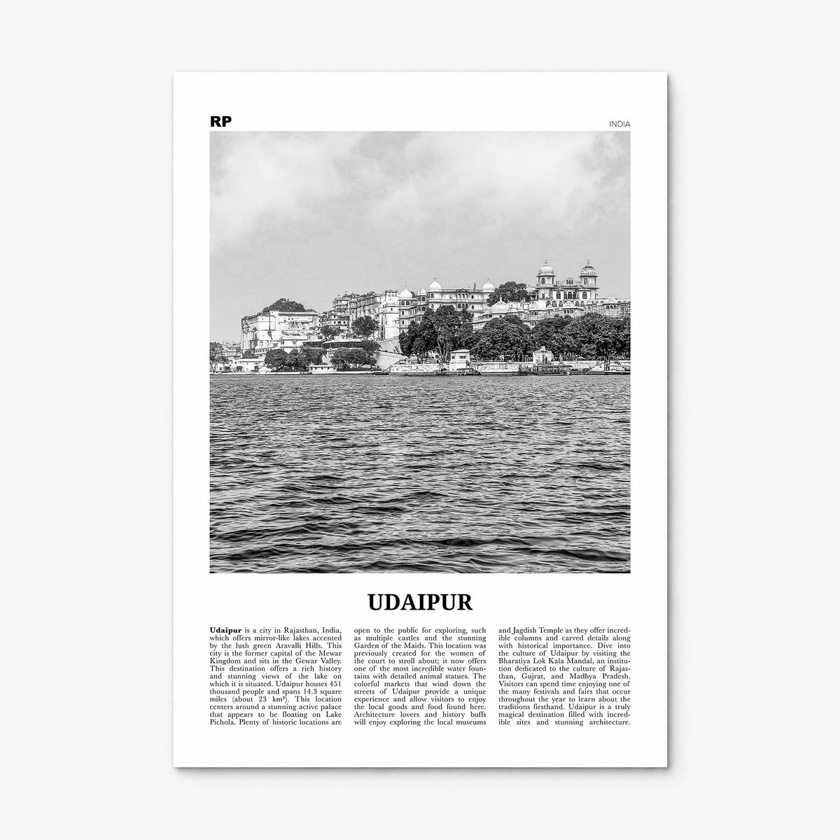 Udaipur Newspaper Poster, print only (unframed)