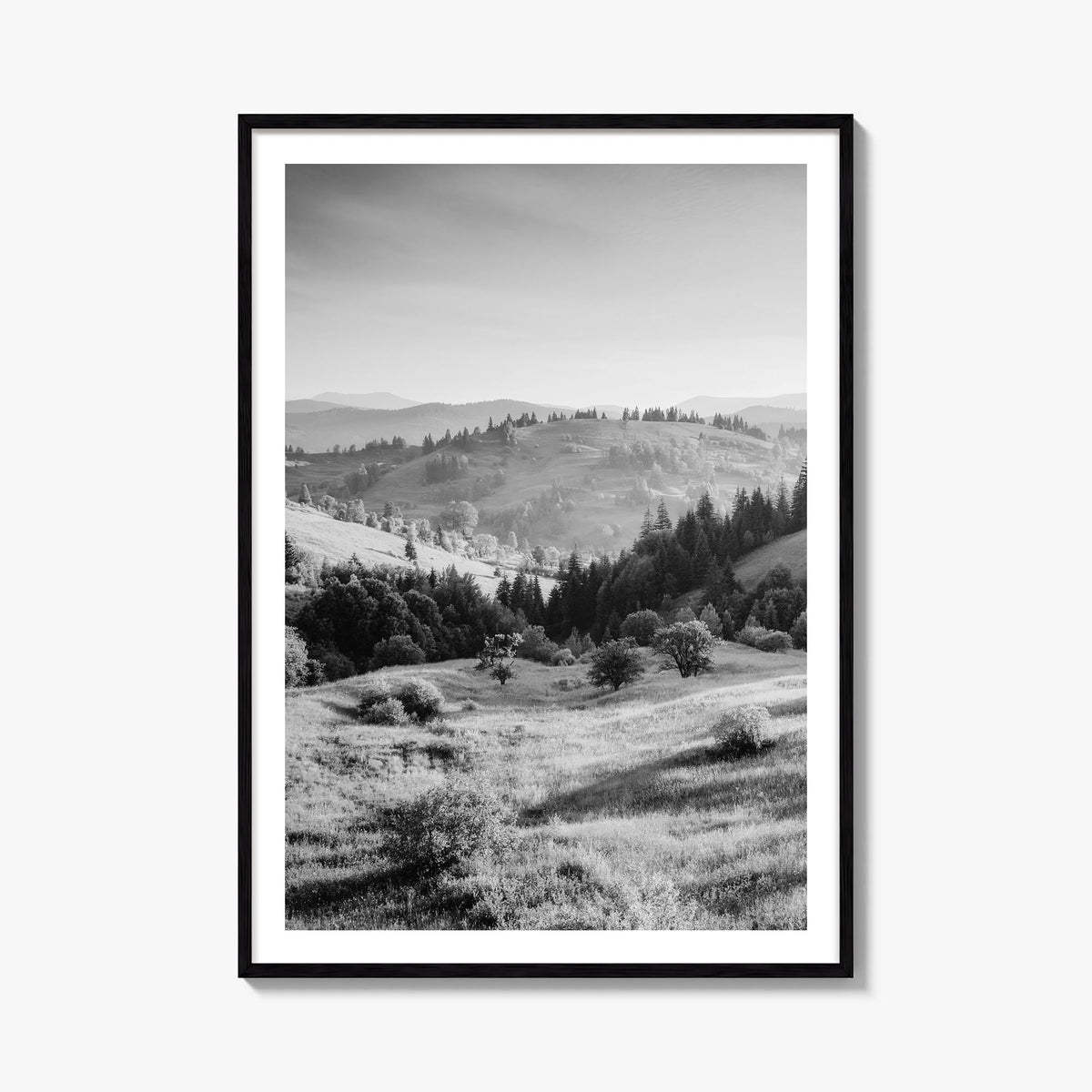 Ukraine black & white photo poster of Europe – vertical wall art, unframed print shown in interior mockup