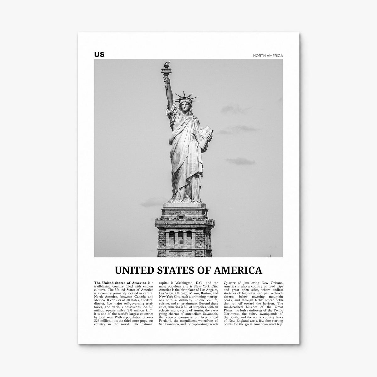 United States of America Newspaper No 1 Poster, print only (unframed)