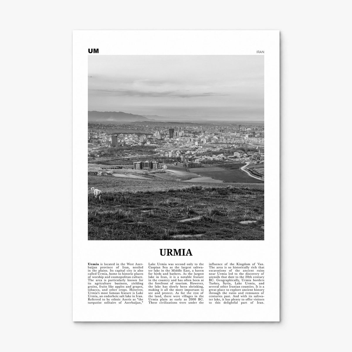 Urmia County Newspaper Poster, print only (unframed)