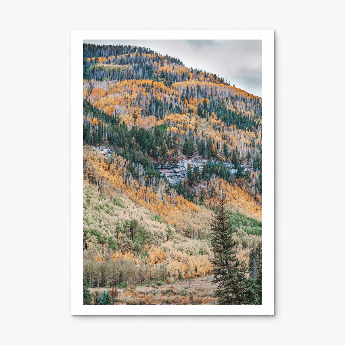 Vail Photo No 2 Poster, print only (unframed), white border
