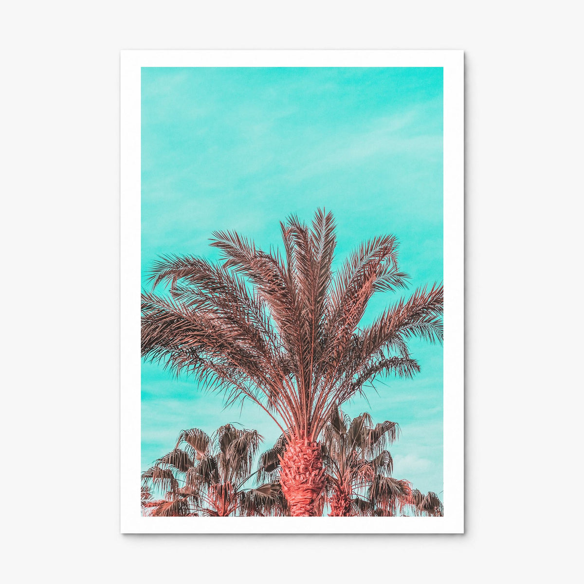 Vibrant Palm Trees Photo Poster, print only (unframed), white border