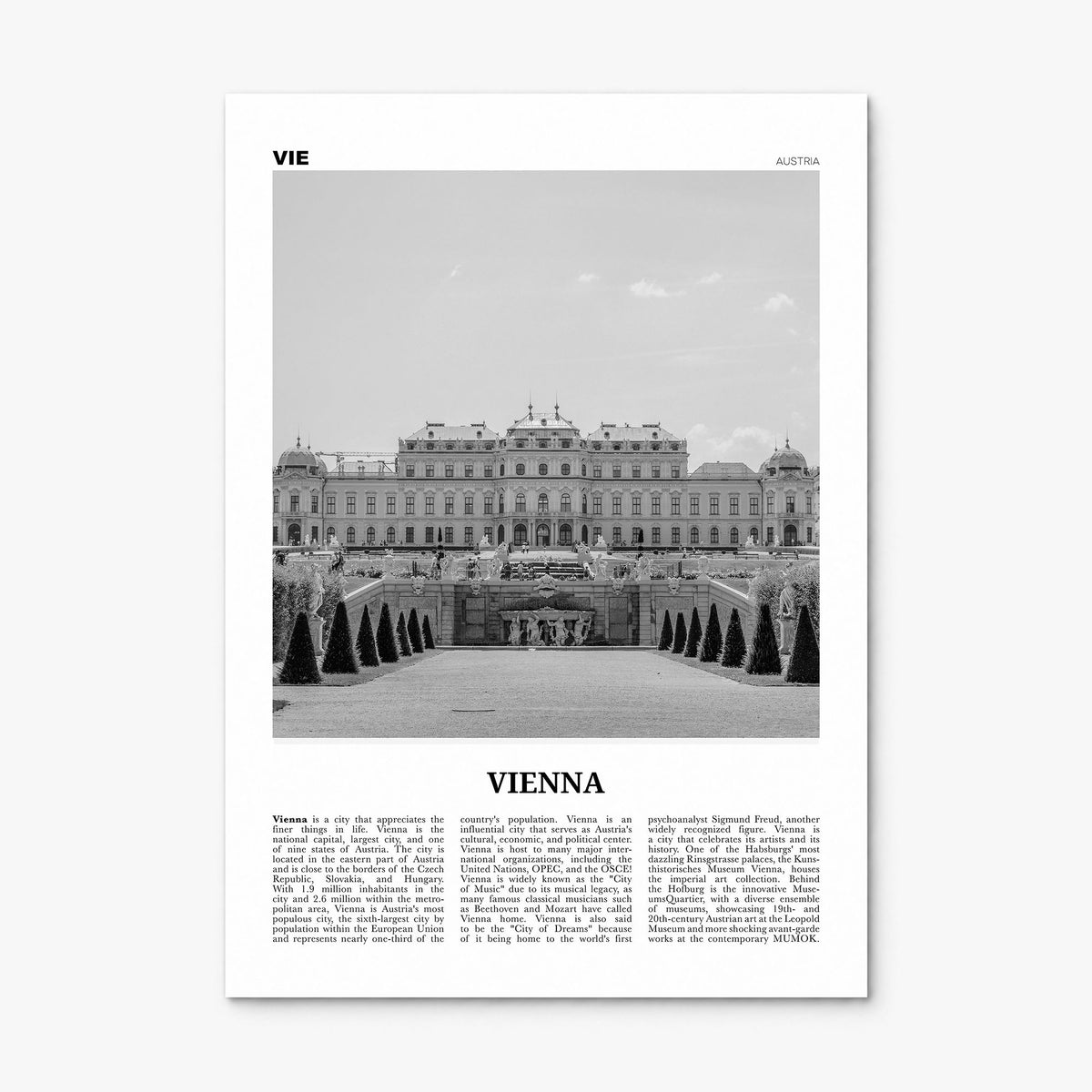 Vienna Newspaper No 2 Poster, print only (unframed)