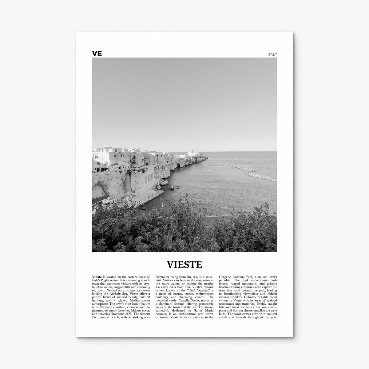 Vieste Newspaper Poster, print only (unframed)