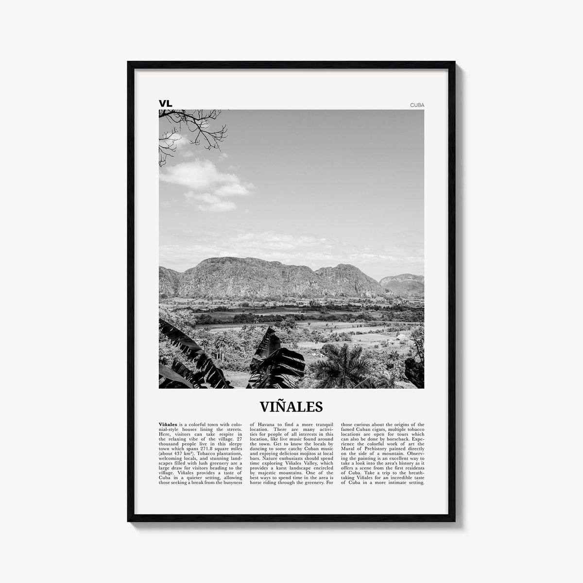 Viñales black & white newspaper poster of Cuba – vertical wall art, unframed print shown in interior mockup