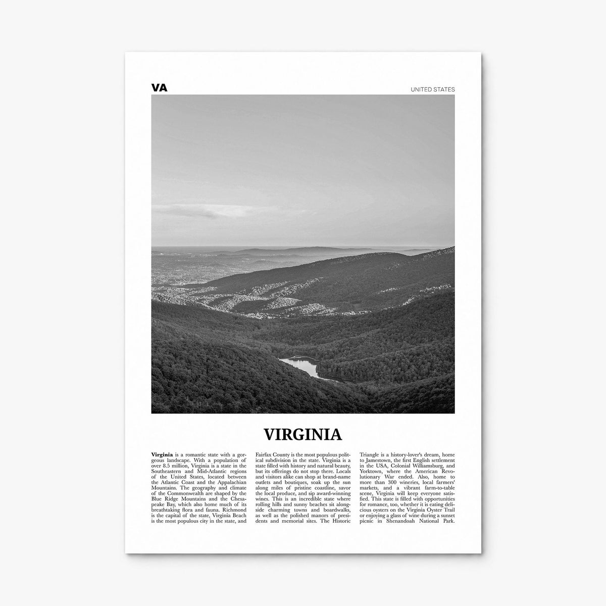 Virginia Newspaper No 2 Poster, print only (unframed)