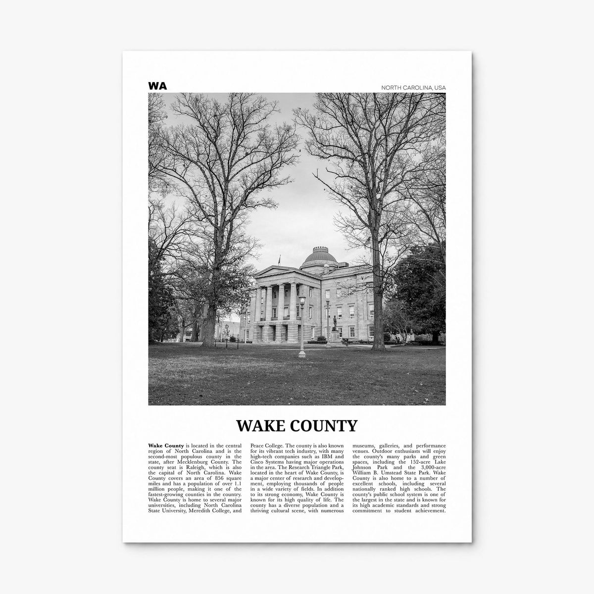 Wake County Newspaper Poster, print only (unframed)