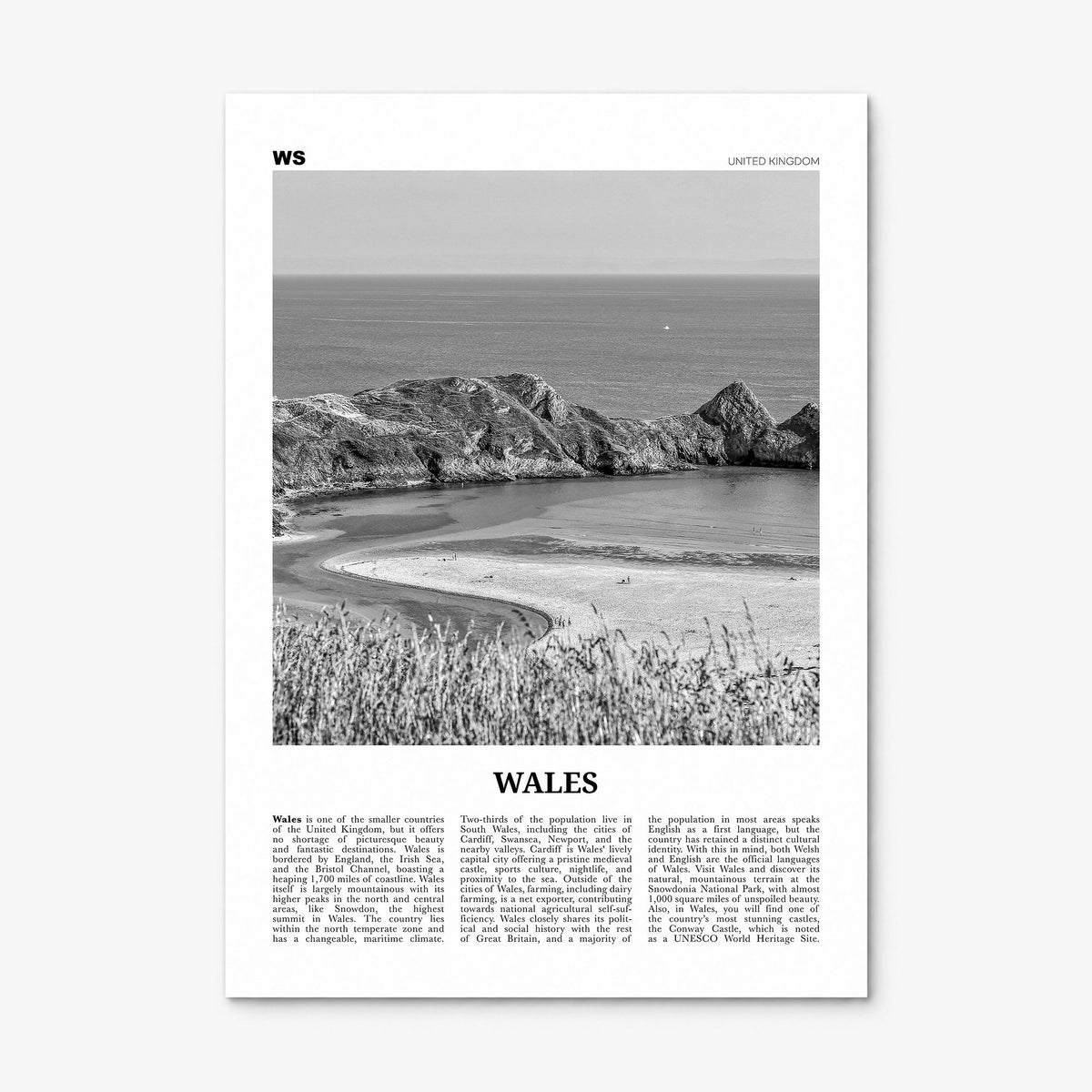Wales Newspaper Poster, print only (unframed)