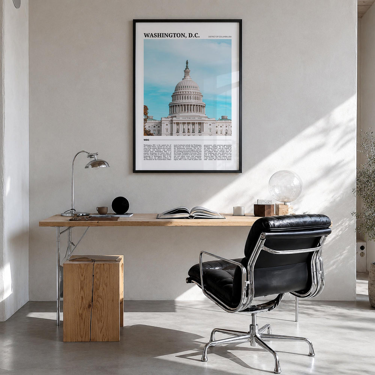 Washington, D.C. Travel No 1 Poster