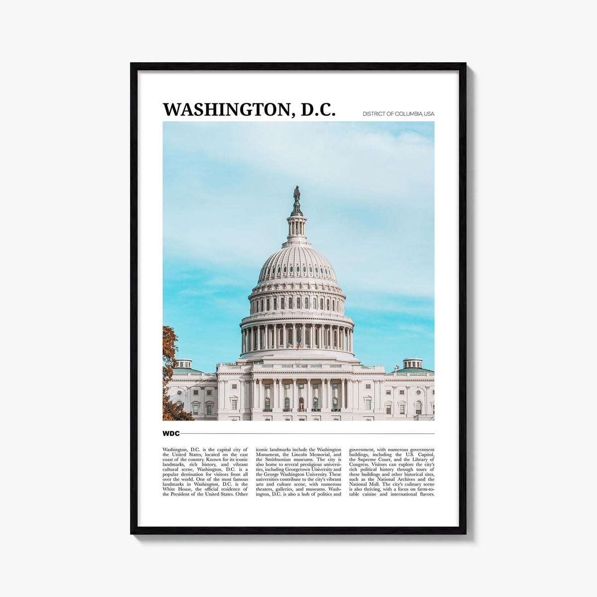 Washington, D.C. Travel No 1 Poster