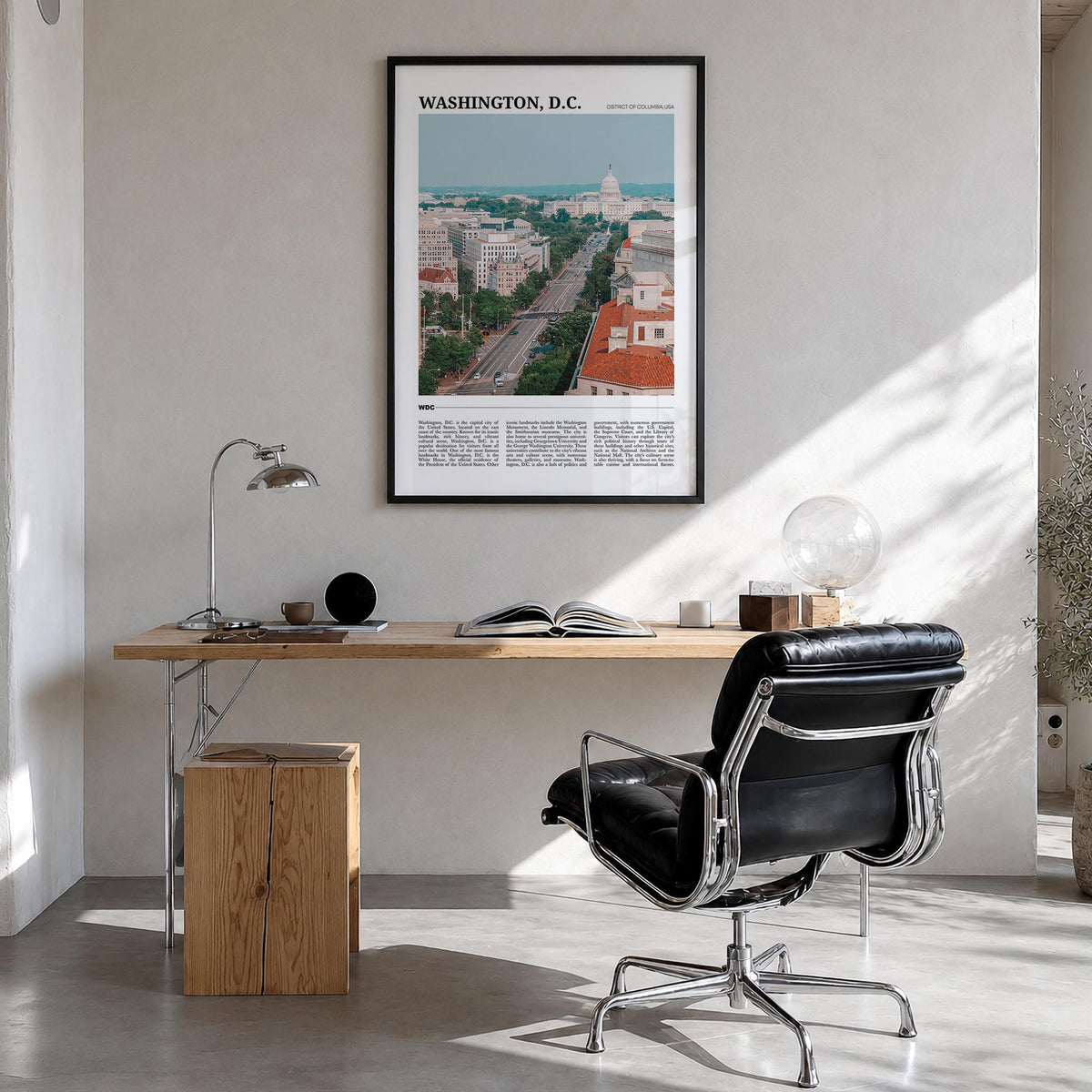 Washington, D.C. Travel No 2 Poster