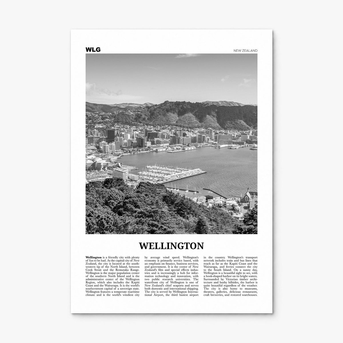 Wellington Newspaper No 1 Poster, print only (unframed)