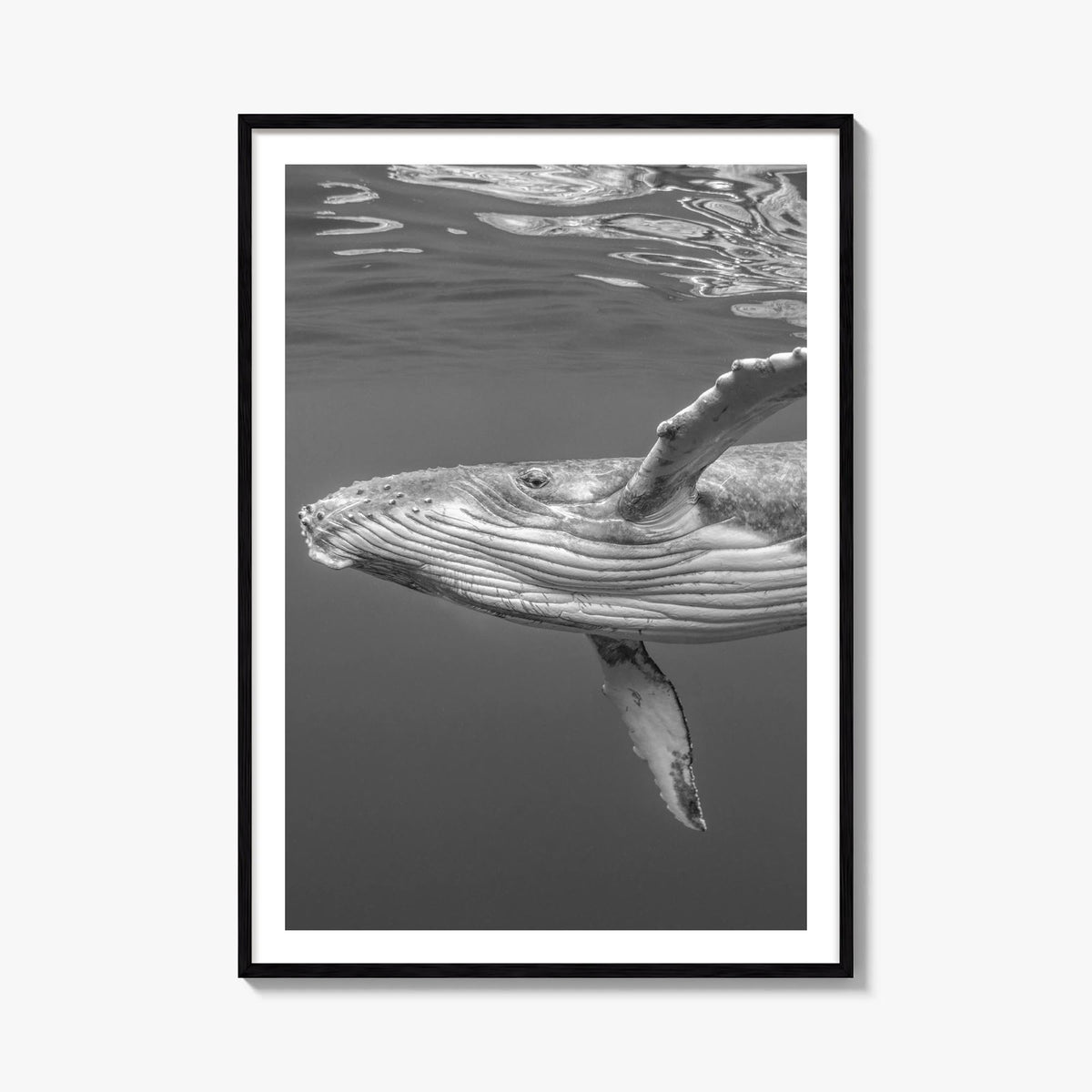 Whale no. 1 black & white photo poster – vertical wall art, unframed print shown in interior mockup