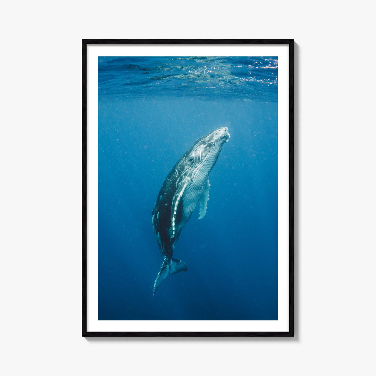 Whale no. 2 colorful photo poster – vertical wall art, unframed print shown in interior mockup