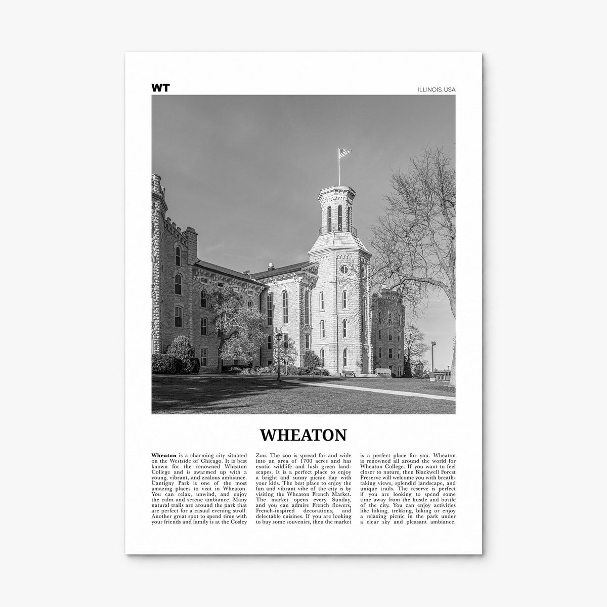 Wheaton Newspaper Poster, print only (unframed)
