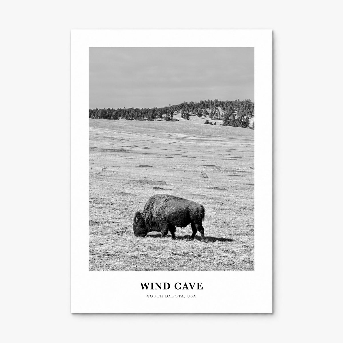 Wind Cave National Park Classic Poster, print only (unframed)