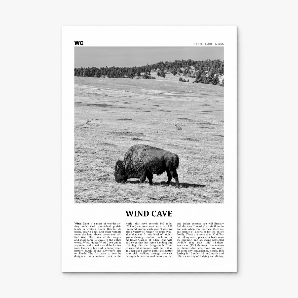 Wind Cave National Park Newspaper Poster, print only (unframed)