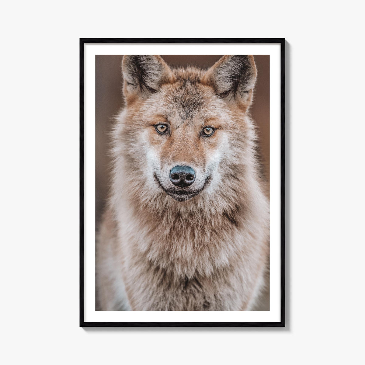 Wolf no. 2 colorful photo poster – vertical wall art, unframed print shown in interior mockup