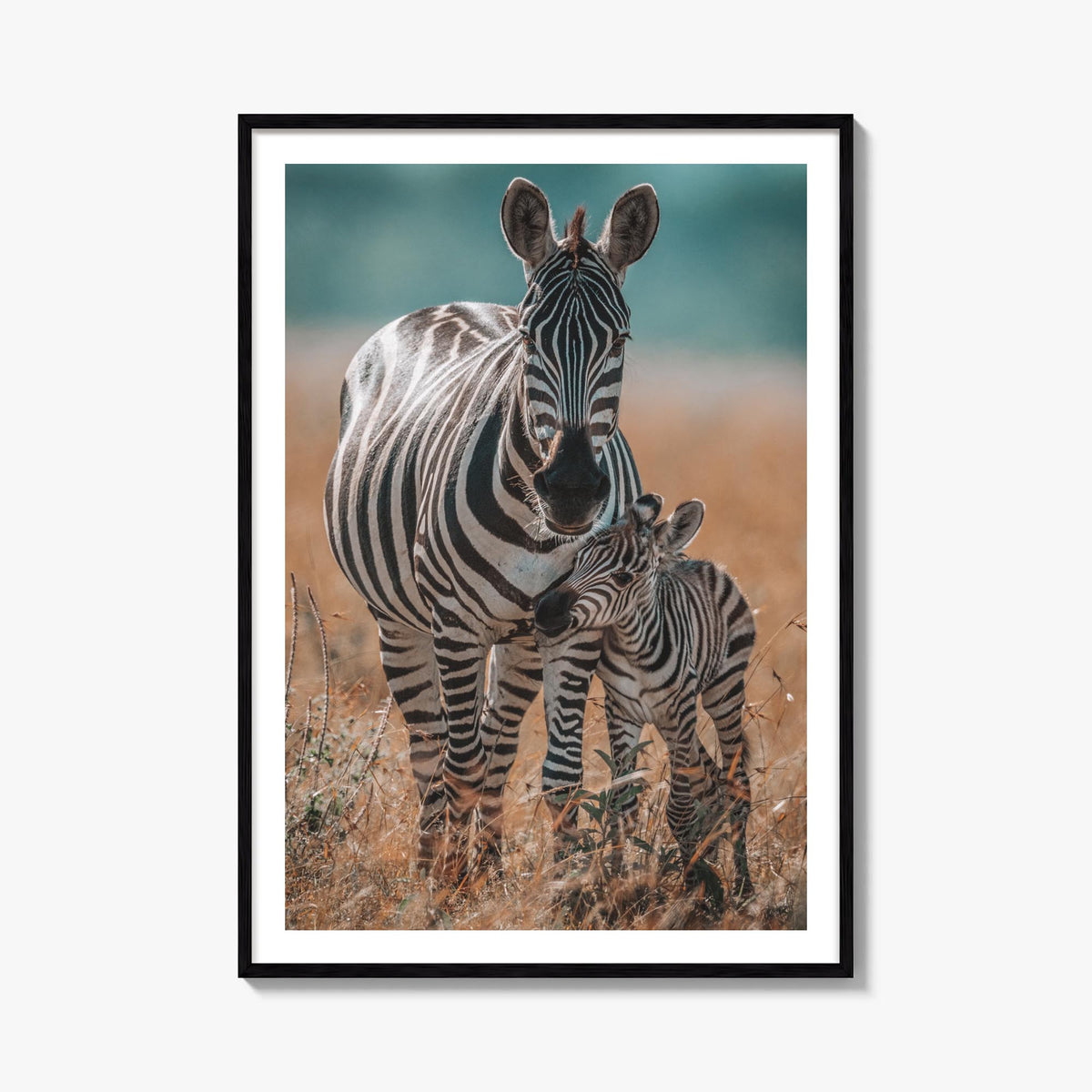 Zebra no. 1 colorful photo poster – vertical wall art, unframed print shown in interior mockup