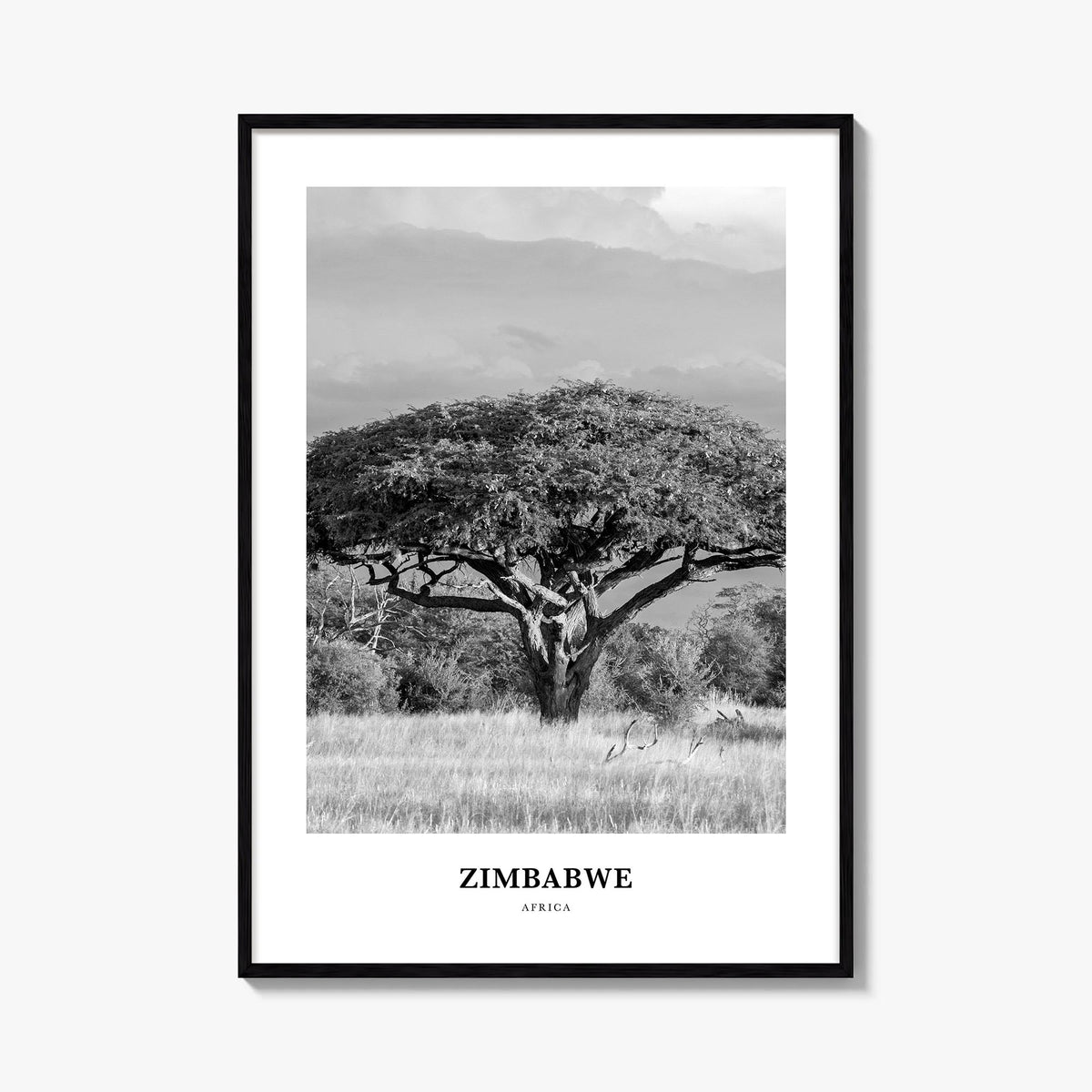Zimbabwe Classic Poster