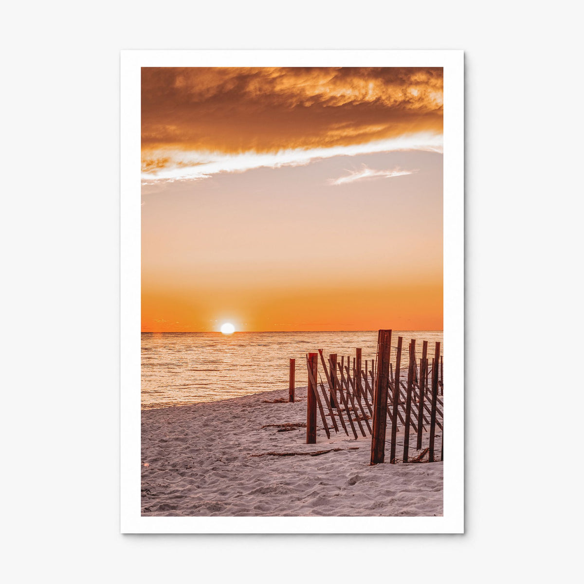 30A Photo Poster, print only (unframed), white border
