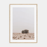 Acacia Tree Photo Color No 2 Poster