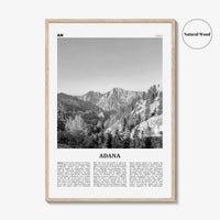 Adana Print Black and White, Adana Wall Art, Adana Poster, Adana Photo, Adana Map, Adana Wall Decor, Turkey