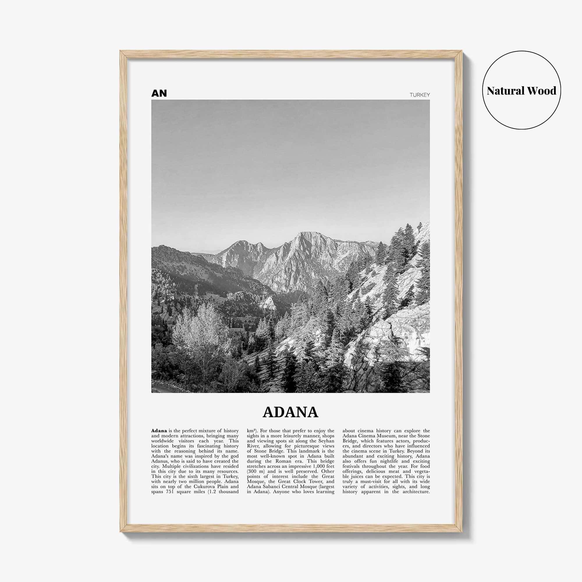 Adana Print Black and White, Adana Wall Art, Adana Poster, Adana Photo, Adana Map, Adana Wall Decor, Turkey