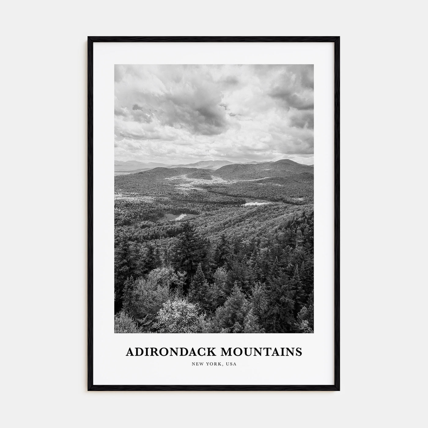 Adirondack Mountains Portrait B&W Poster